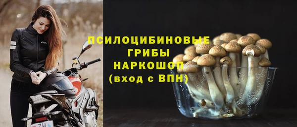 дурь Медногорск