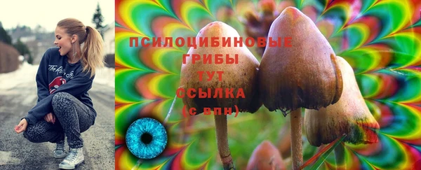jwh Корсаков